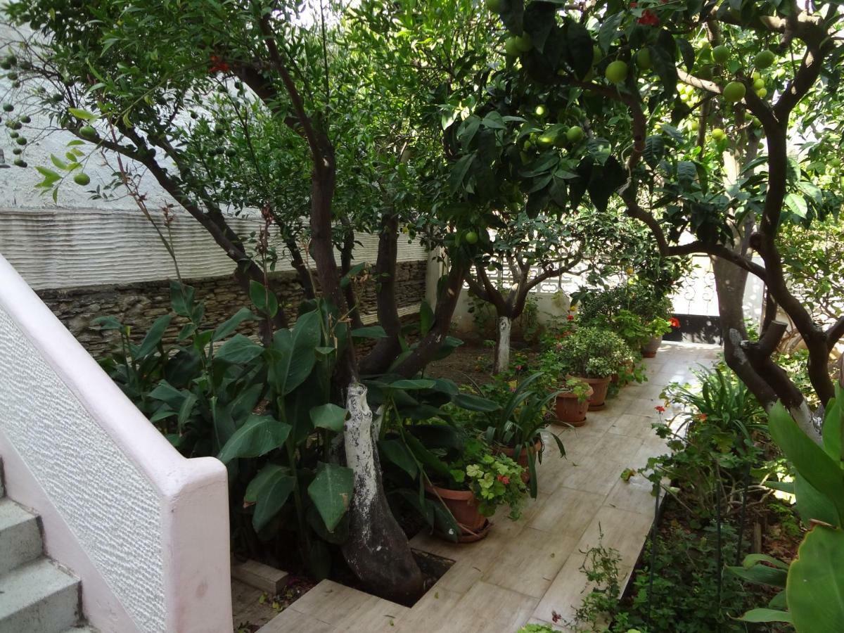 Villa Cozy Citrus Garden House By The Seaside. Khónias Exterior foto