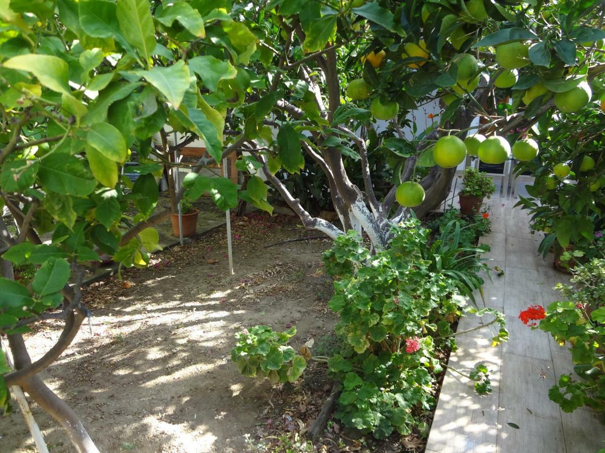 Villa Cozy Citrus Garden House By The Seaside. Khónias Exterior foto